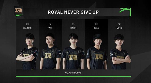 带来的真正 带来的真正